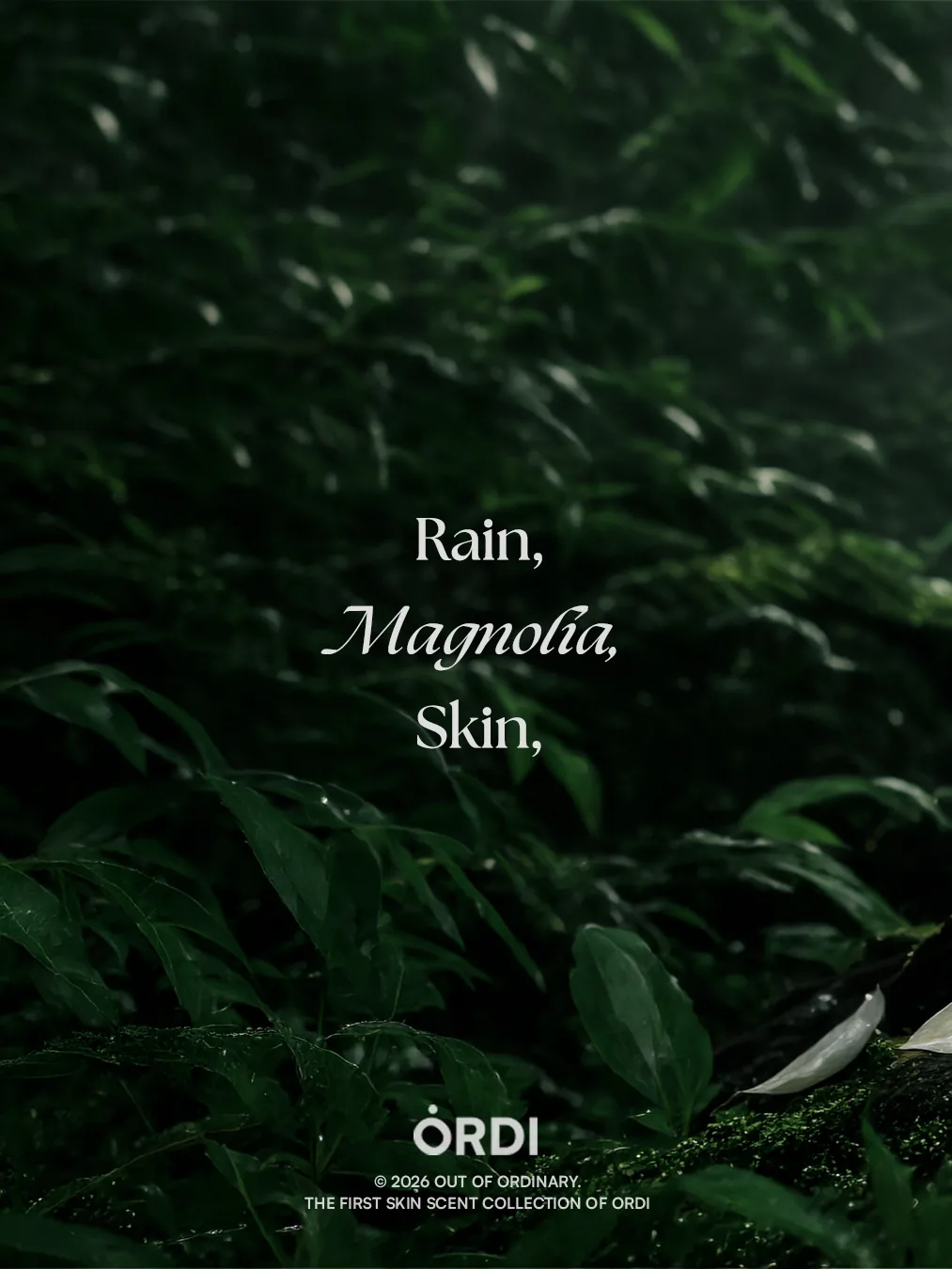 Rain, Magnolia, Skin — the three notes over wet foliage